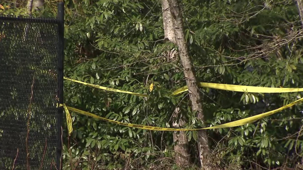 Police on scene near Foxglove Drive and 98th Avenue in Surrey.