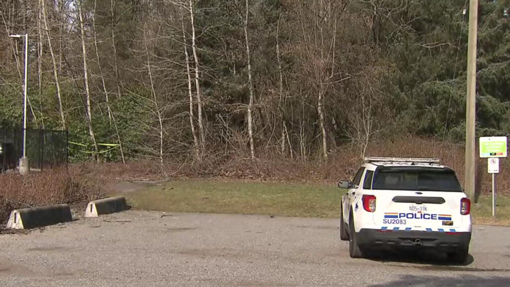 Police on scene near Foxglove Drive and 98th Avenue in Surrey.