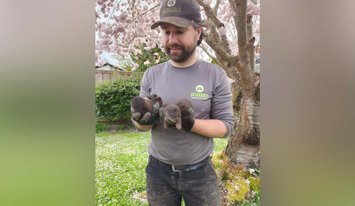 Otterly adorable: Richmond homeowners finds furry surprise in their backyard