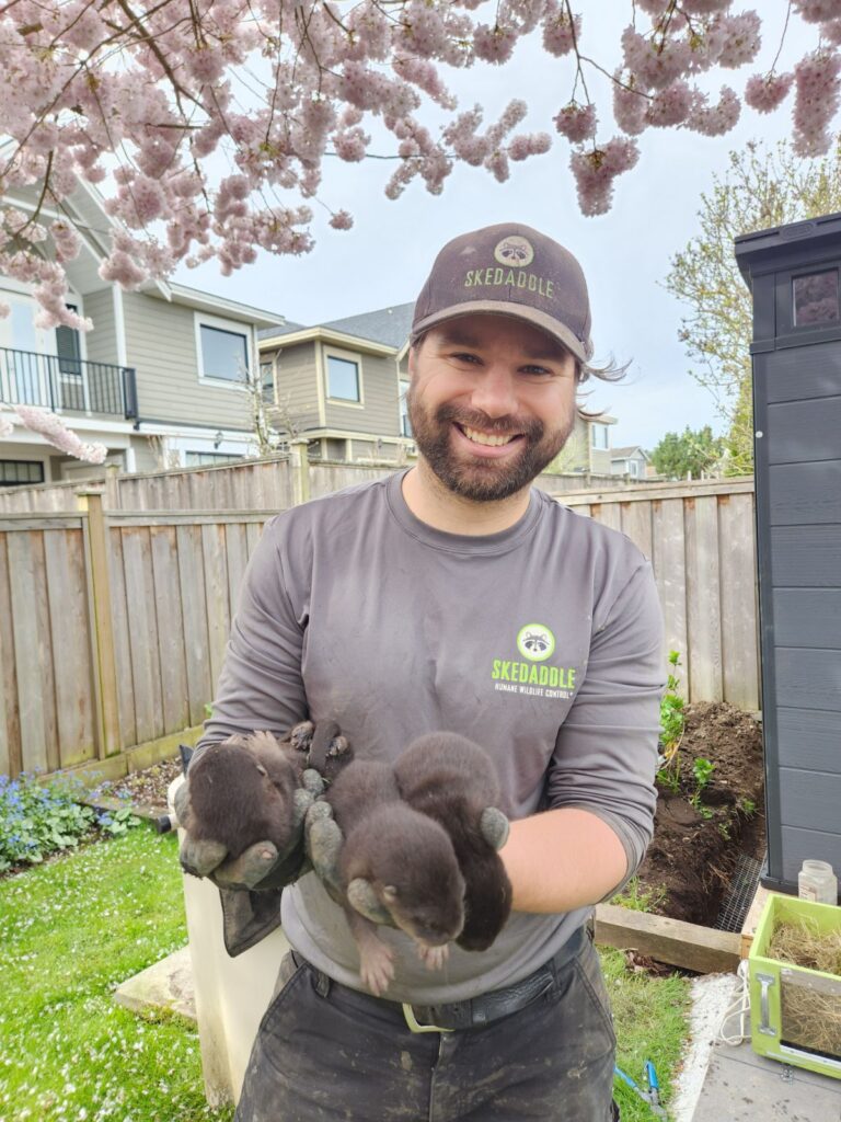 Richmond homeowners found a family of otters living in their backyard.