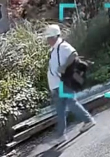 Mounties in Coquitlam investiting after home invasion