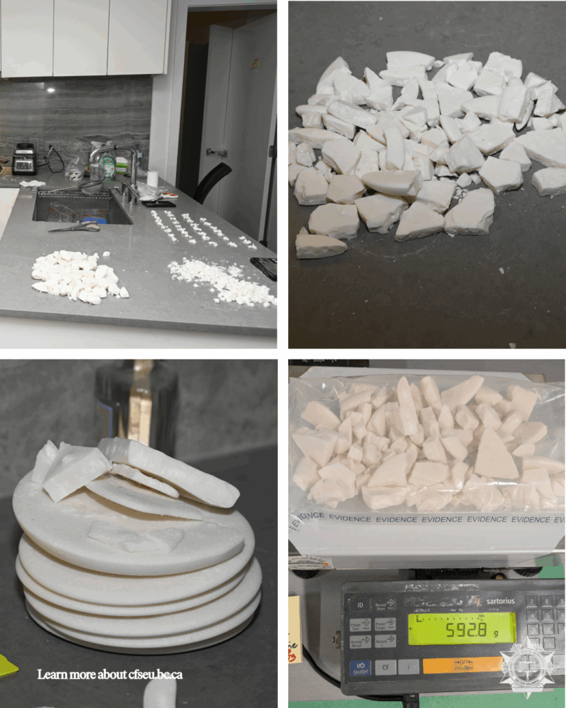 Police seize ‘significant quantities of illicit drugs’ in Coquitlam and Delta. (Combined Forces Special Enforcement Unit of British Columbia