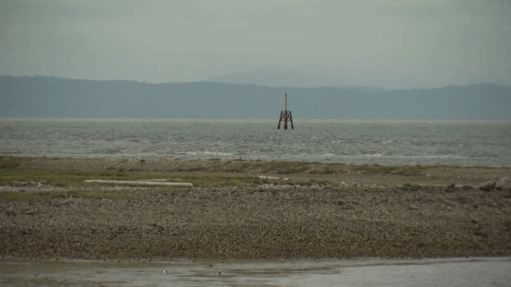 RCMP plans to launch recovery of charter boat victims in Strait of Georgia