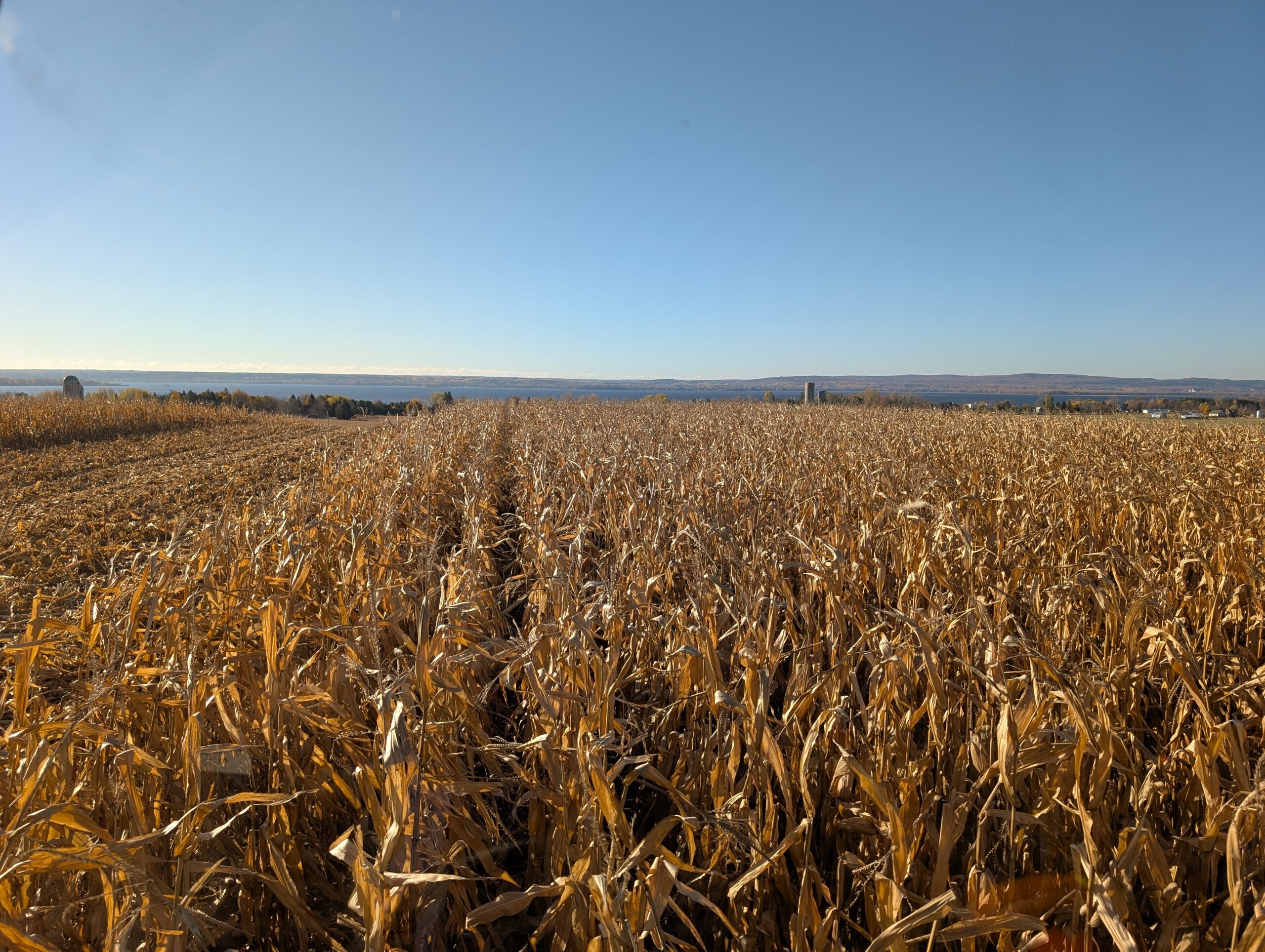 From chokepoint to checkout: How war is squeezing Canada’s food chain