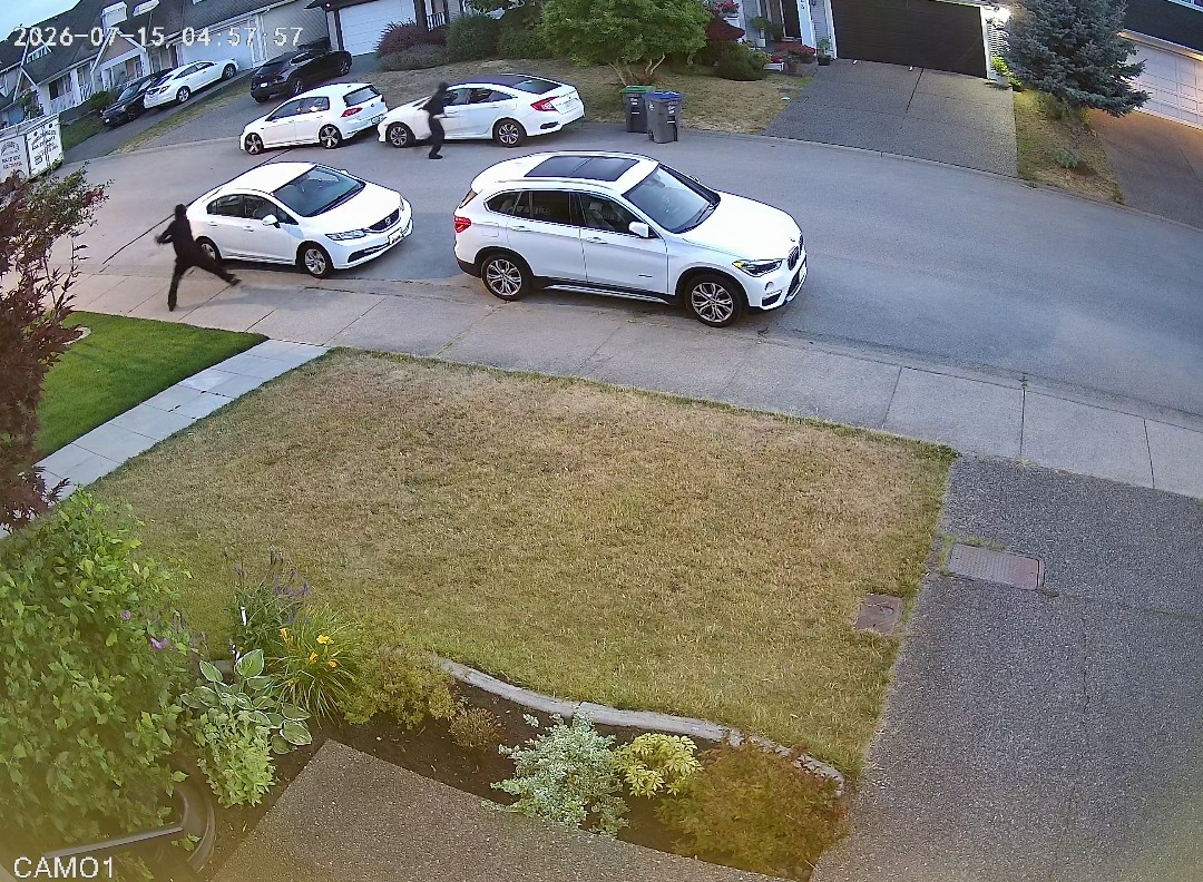 Surrey police investigating after 9 vehicles had windows smashed in Newton