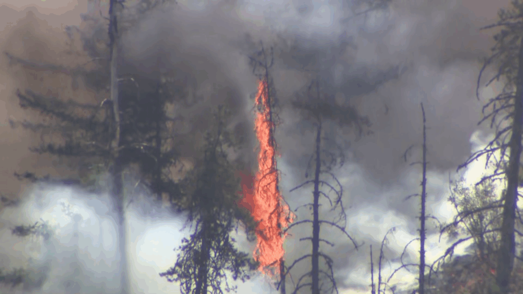 A wildfire is seen in Pemberton, B.C. on Thursday July 16, 2026. (CityNews Image)