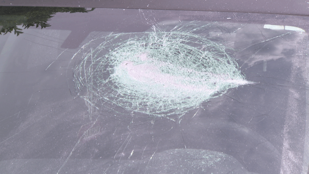 Damage is seen to vehicles in Surrey on Thursday July 16, 2026. (CityNews Image)