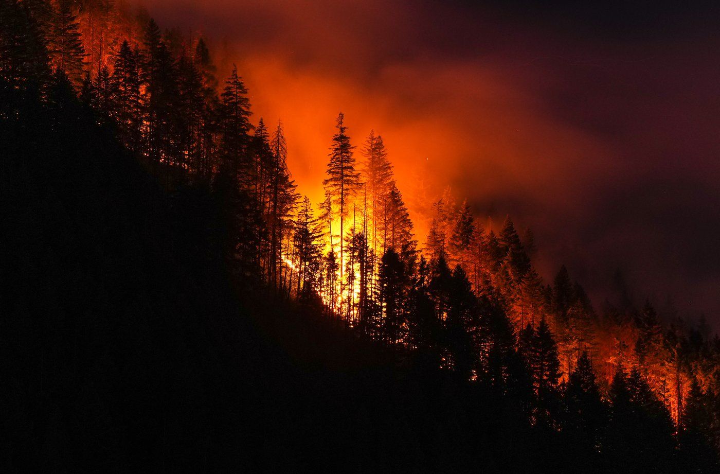 Boston Bar residents ordered to evacuate as wildfire flares