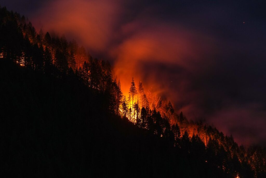 The Brunswick Creek wildfire consumes trees on a mountainside, in Boston Bar, B.C., on Thursday, July 9, 2026. THE CANADIAN PRESS/Darryl Dyck