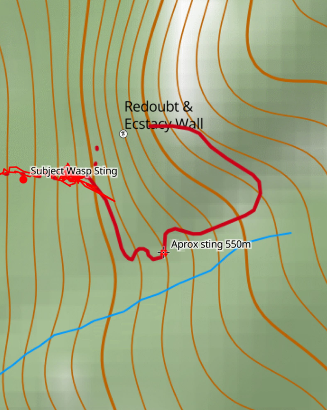 Rescue crews saved a climber who had been stung by 100+ wasps near the Sea to Sky Highway.